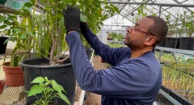 Beginning Life Anew: How Eddie Belton Has Turned a New Leaf in North Central's Horticulture Program