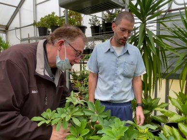 How North Central's Horticulture Program is Planting Seeds of Change in Mens' Lives